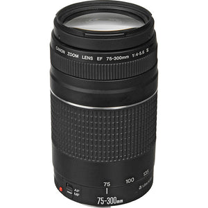 Canon EF 75-300mm f/4-5.6 III Lens